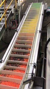 134K views · 261 reactions | These Jelly Belly jelly beans are on their way to be mixed together for our Assorted Flavours mix. Can you spot your favourite? #jellybelly #behindthescenes | Jelly Belly | Facebook