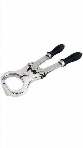 Precious Stainless steel Burdizzo castrator #veterinarytools