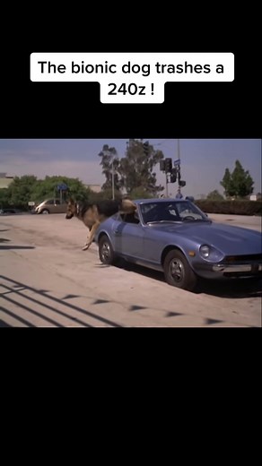 Max the Bionic Dog Rescues Child in VW Bug | 240Z Chaos