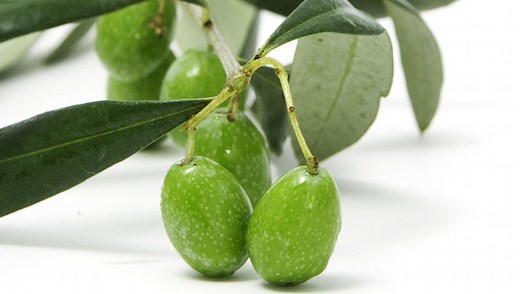 Olives fait maison pour 6 personnes - Recettes - Elle à Table