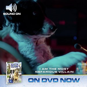 254 reactions · 84 shares | These pawesome pets will never roll over! Cats & Dogs: Paws Unite! is available on DVD now! | Warner Bros. Pictures | Facebook