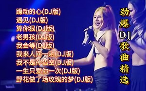 劲爆DJ歌曲精选【KTV字幕|动态歌词】躁动的心, 遇见, 算你狠, 老男孩, 我会等, 我来人间一趟, 我不是孙悟空, 一生只爱你一次, 野花做了场玫瑰的梦