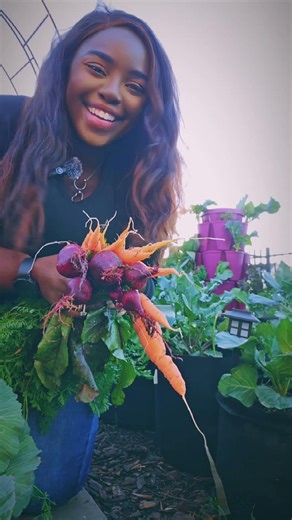 Carrots and Beets Fall Favorite 😍 #garden #fypシ゚viral #fun #fypシ #fyp #greenstalk #gardeningideas