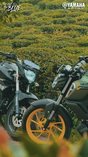 Yamaha FZ V2/V3: Stylish Performance Motorcycle