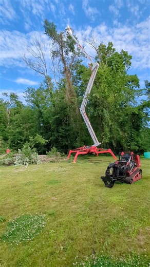 Spider Lift in Action: Tree Clearing Made Easy