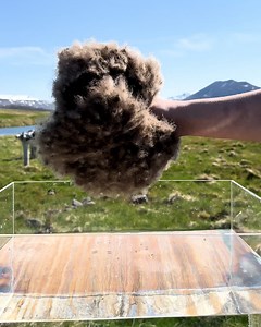 1.9M views · 31K reactions | This demonstration of the water-repellant properties of Icelandic eiderdown is fascinating!  | LADbible | Facebook