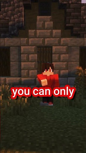 Minecraft- Secret Jigsaw Block!?