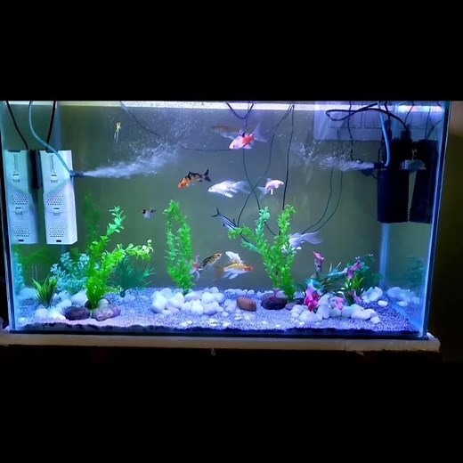 how to make aquarium at home🏠 💛