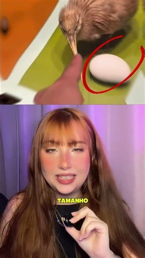 Alien Eggs from Nature You Never Imagined!