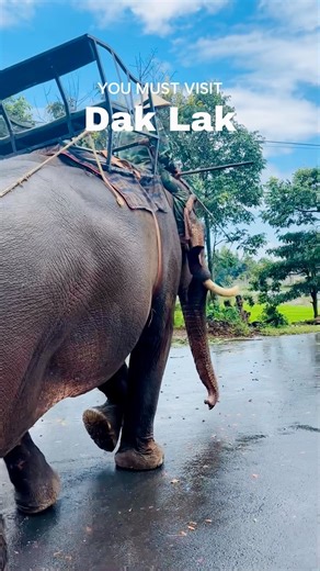 Welcome to Dak Lak 🌿✨