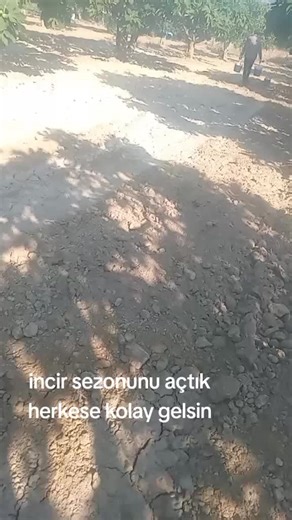 Essential Agricultural Practices in Rural Settings