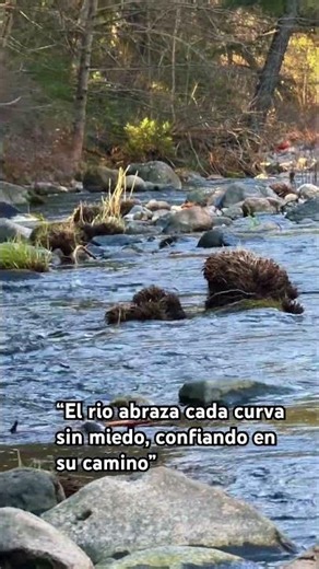 Ríos #paisajes #naturaleza #nature #vista #rios #california