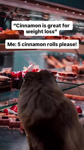 Healthy Cinnamon Rolls: A Cat Lover's Treat