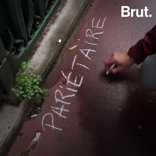 De mystérieuses inscriptions à la craie sont apparues dans les rues de Toulouse. On les doit à ce botaniste. Son but : mettre en lumière les plantes sauvages qui poussent au milieu du bitume. Brut l’a suivi. | Brut nature FR