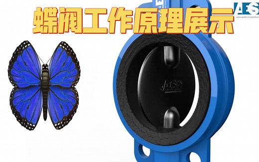 蝶阀的工作原理展示