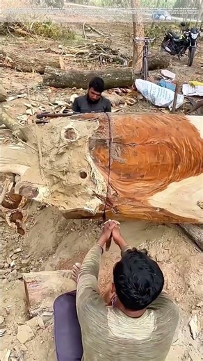 Sawing Away the Past: Why They Start from the Bottom