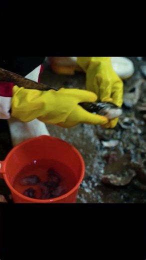 Coi bà con tách hàu khá điệu nghệ | #shorts