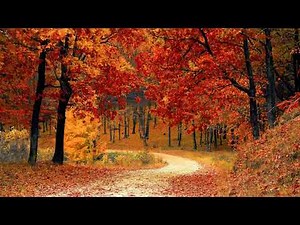 Vivaldi - Four Seasons: Fall (1Hour) Classic