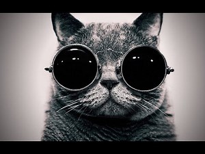 ☄️ RUST NEW WIPE 2 raiD! ☄️