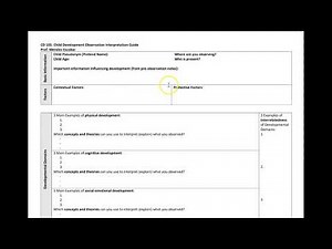 Child Observation Interpretation Guide