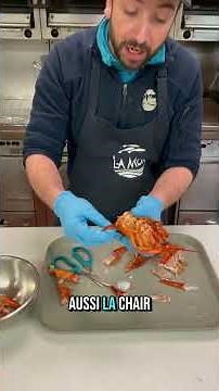 🦞 Comment décortiquer un homard sans en perdre une miette!