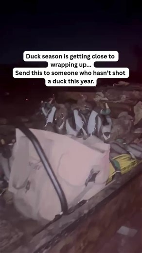 Send this post to someone who hasn’t shot a duck yet this season… we all know a guy. 😅 Don’t worry, the Excel will keep getting you there. The rest is up to the birds. @berwaterfowel doesn't have this problem. #ExcelBoats #ExcelTomahawk #BuiltForBoth #DuckSeason #WaterfowlLife #DuckHunting #MarshLife #PublicLandHunter #BoatLife #OnTheWater