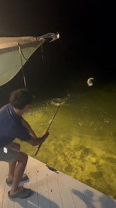 Quick catch & release on this juvenile tarpon😎. #tarpon #snook #outdoors #fishing #fish #nlbn | Lazaro Guerra