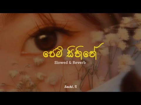 Pem Sihine | පෙම් සිහිනේ (Slowed & Reverb)