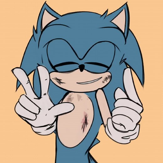 Shadow x Sonic - Sonadow Moments Compilation