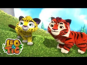 Patrulha da Floresta - Leo & Tig - | Desenhos infantil 🐯🦁