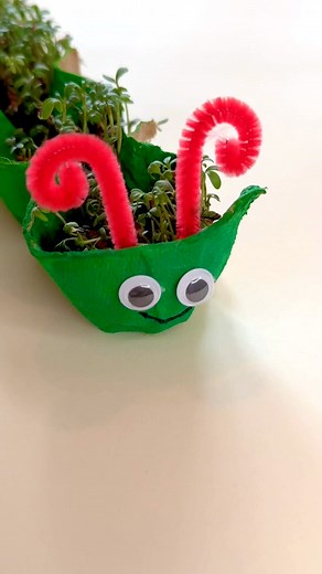 Grow your own Cress Caterpillar 🐛 🌱 This is such a fun Spring craft idea to do with kids. They'll love watching their cress grow and their caterpillar sprouting hair! You will need: 🐛 Egg box 🐛 Cotton wool balls 🐛 Cress seeds 🐛 Green paint 🐛 Googly eyes 🐛 Pipe cleaners How to make: 🌱 Dip cotton wool balls in water and squeeze out the excess 🌱 Place one ball inside each egg cup 🌱 Sprinkle a teaspoon of cress seeds onto each ball 🌱 Leave in a dry well-lit place, such as a windowsill 🌱