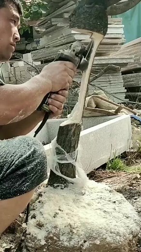 Effective Techniques for Removing Tree Stumps