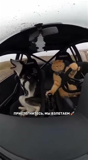 Поехал/а бы со мной? 🤣 Тгк: kira_asmi