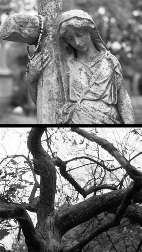 Soundtrack for Cemetery Walks 🍂 #gothic #goth #cemetery #halloween