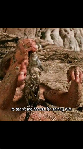 6.5K views · 18 reactions | Man accidentally fell into swamp but was rescued by ferrets #movieclips #movie #moviereview #FilmFans #hollywoodmovies | GoldenHour33 | Facebook