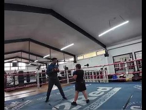 VAUGHAN The 7 year old boxer