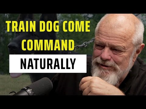 How to Train Dog Come Command - Naturally