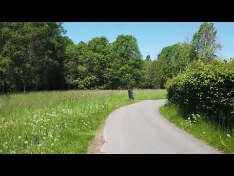 How long until programmers are no longer needed?