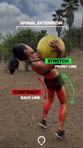 RECIPROCAL INHIBITION