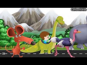 CENOZOIC BEASTS | Animated Size Comparison