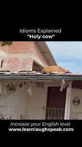 “Holy cow” This expression is used to show surprise or disbelief. 💡Imagine someone looking up and seeing a cow standing on a roof. They might say, 🗣️“Holy cow! How did that even happen?” 💡In a business context, if a company suddenly surpasses their sales target by a huge margin, someone might say, 🗣️“Holy cow! I can’t believe we hit those numbers this quarter!” Learn Laugh Speak helps students increase their level through a digital platform with 33,000 lessons and 12 levels. Learn to read, w