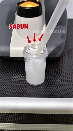 Cacing micro vs sabun, berapa lama mereka bisa bertahan? #shorts #foryou #microscope #cacing #sabun