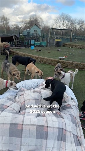 Thank you for your incredible support this year. We are beyond lucky to have such passionate supporters on this journey with us. Our recap video focuses on the dogs, they are our world - but there is so much more to celebrate. In 2025 we put in the foundations for expansion - quite literally. And 2026 is going to be our 'Year of Hope'. We sent a photo to a friend of the rescue today and they said is that AI generated?! No we said, this is all for real. Happy New Year everyone. Keep those furbabi