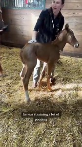 1.5M views · 100K reactions | Baby Boy’s first checkup! | Katie Van Slyke | Facebook