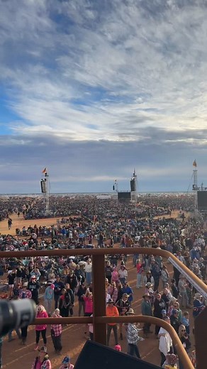 amazing @birdsoftokyo @mundimundibash | Amy Ryan Music