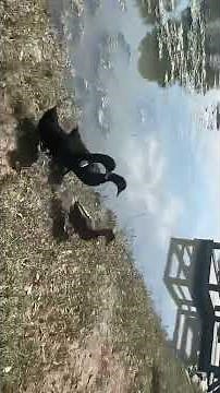 Resoft Park - Alvin, Texas