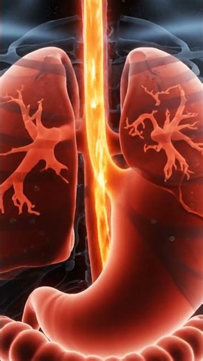 Warm Water and Digestion Explained | Transparent 3D Anatomy