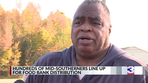 Hundreds of Mid-Southerners line up for food bank distribution