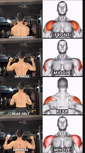 595K views · 3.5K reactions | 4 Super Effective Shoulder Exercises ✅ #shoulderworkout #shoulders #shouldertraining#fyp #gym #gymworkout #workoutroutine #foryou #explorepage +† #fitness #deltoid #reardelt #lateral #roundshoulder | Sidfitfacts | Facebook