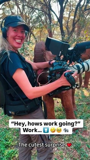 This is why wildlife photographers do what they do ❤️